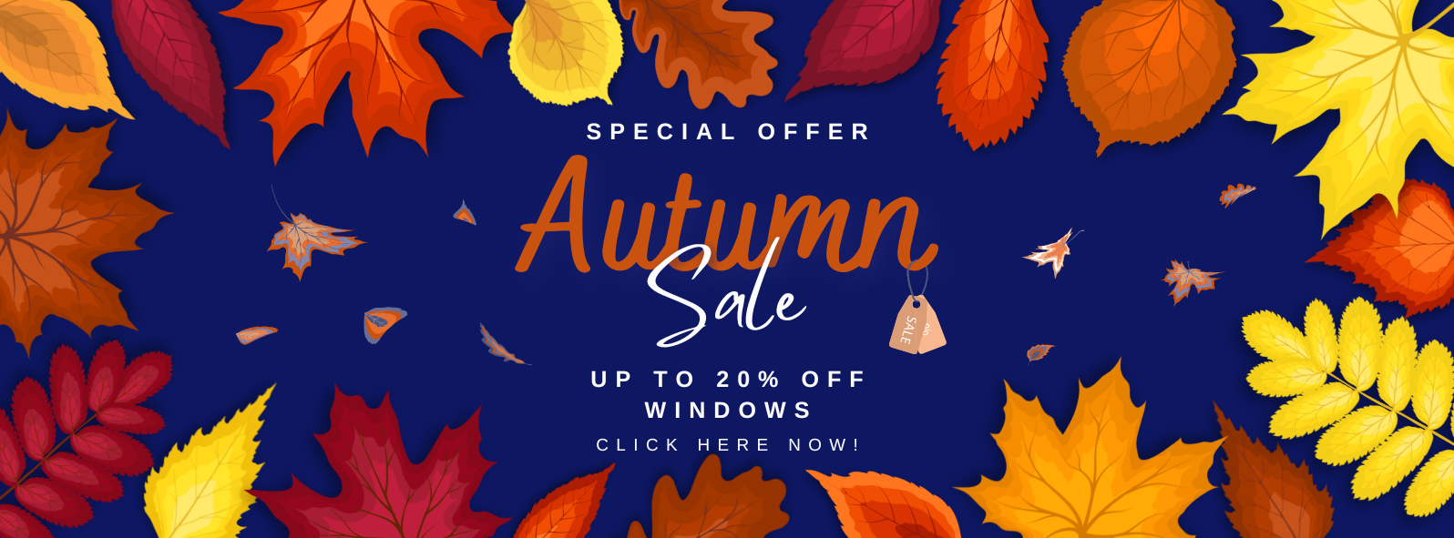 20% Off Windows for November!